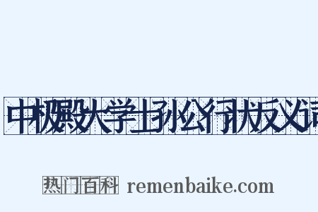 中极殿大学士孙公行状反义词是什么意思的图片